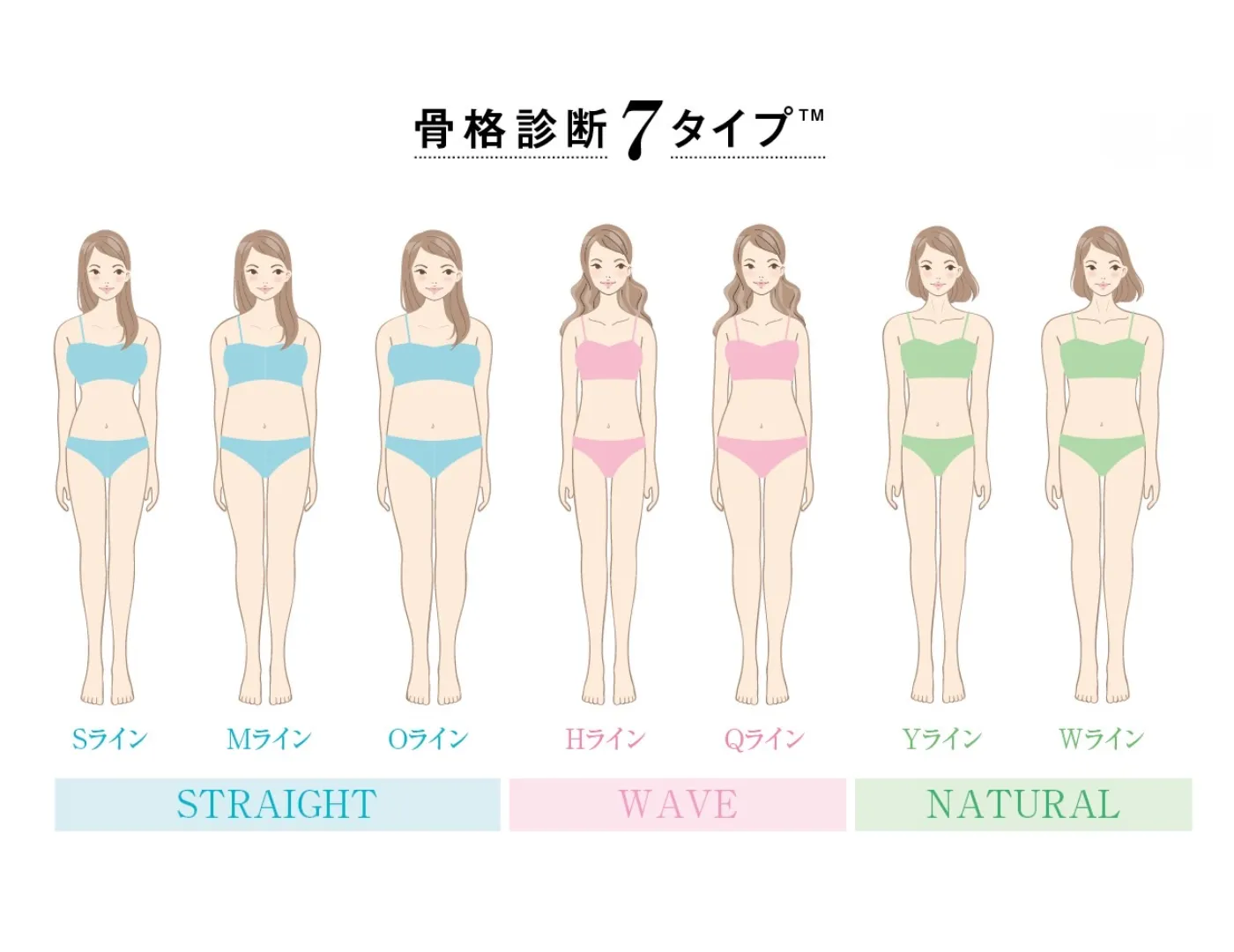LB_ブログ内画像再設定用 – ラウンジバイト 骨格種類