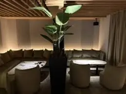 Dimly lit contemporary lounge with curved beige sofas around low white tables and a tall potted plant as centerpiece.